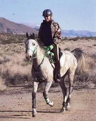 Bold Spirit