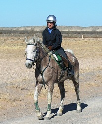 Yoshi Imamura riding Dashing Lady