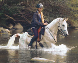 Amy Schneider riding Drew