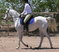 Bianca Villalobos riding GAA Sterlin Silvr