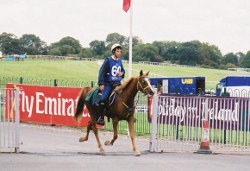 Marcio Honorio riding Paris in the European Championships representing Brazil